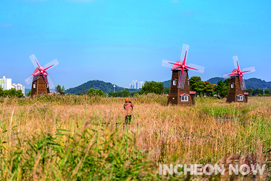 [Four Seasons] Into The Brilliant Autumn Of Incheon