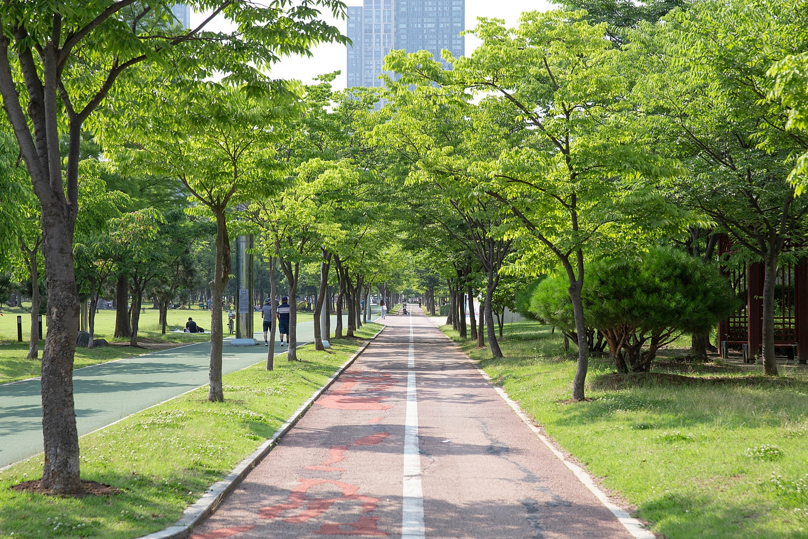 해돋이공원