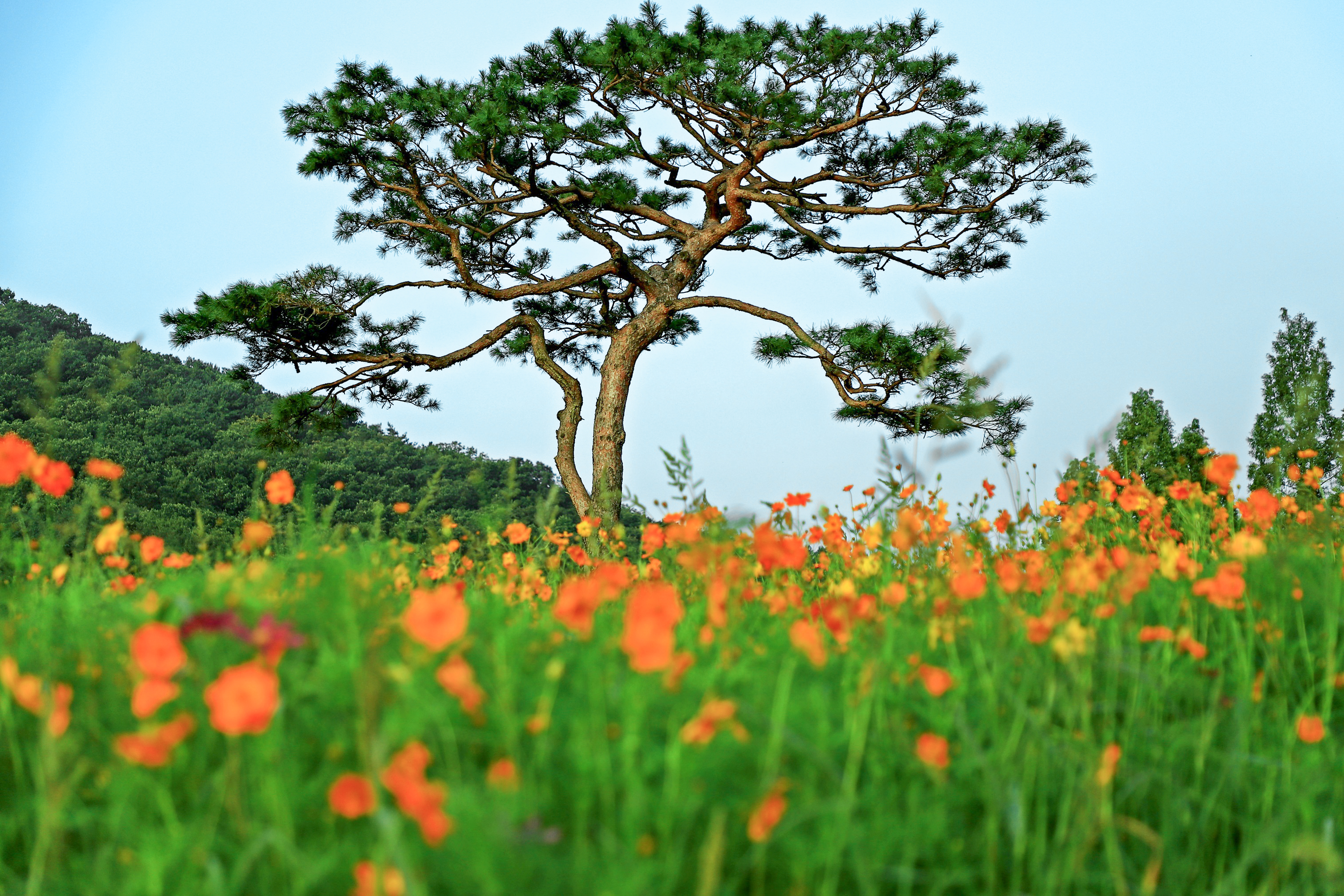 인천대공원