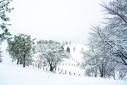 [Four Seasons]  Deep Flavor of Winter in Incheon