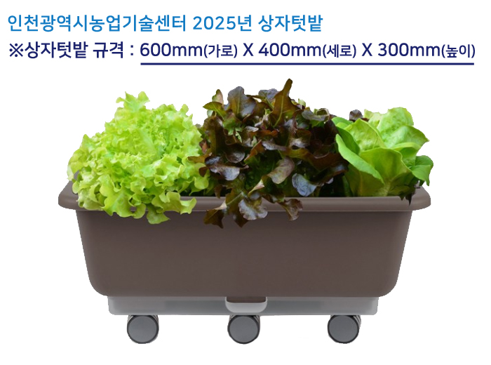 2025년 상자텃밭 상자