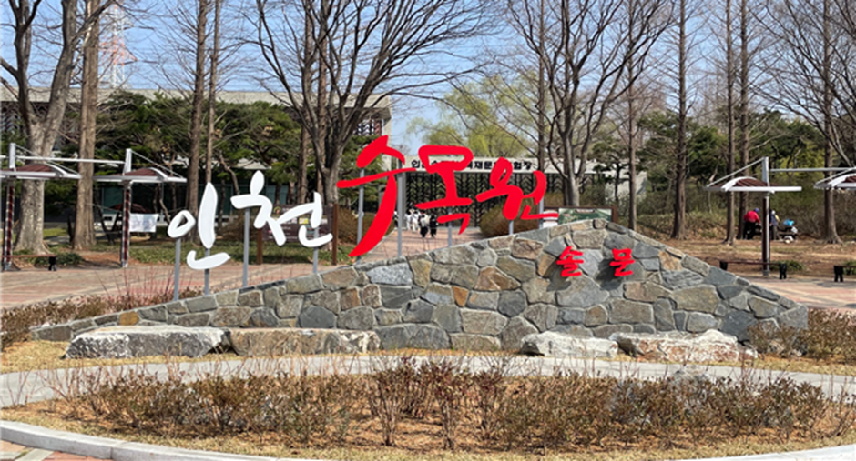 感悟森林的珍贵，仁川市运营森林体验活动