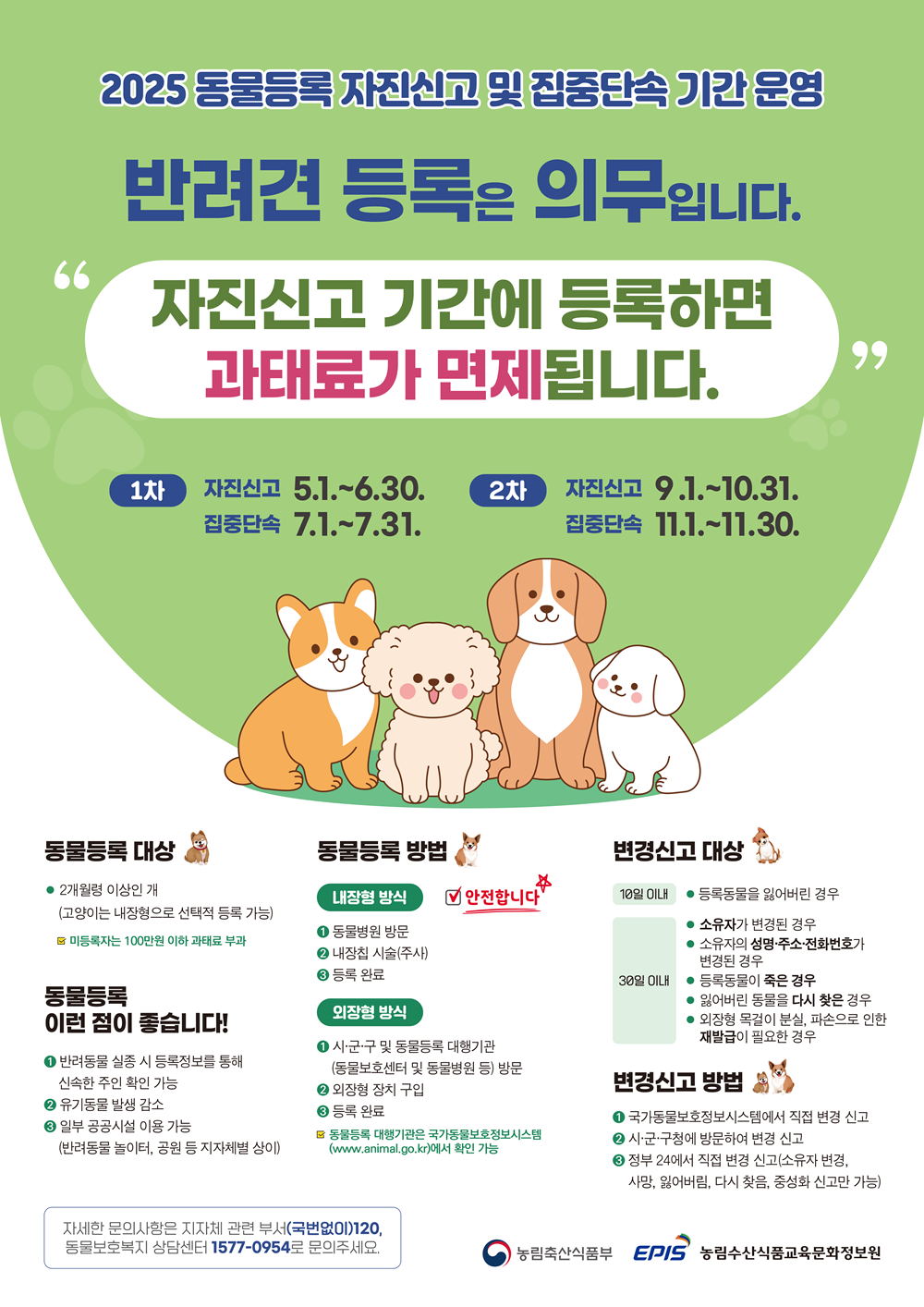 2025동물등록 자진신고 및 집중단속 기간 운영 안내 팜플랫