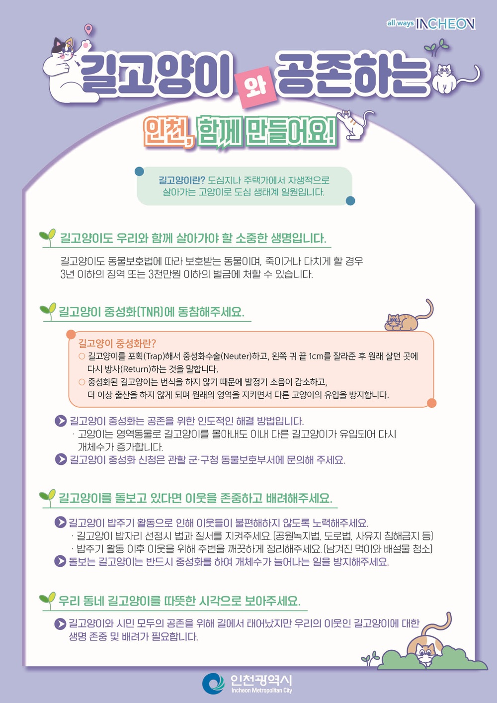 길고양이와 공존하는 인천