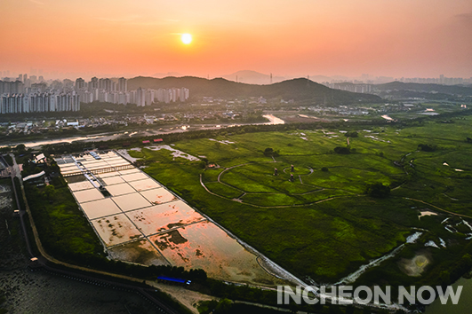 [Issue] Shelter in City Center Home to Both Nature & Culture