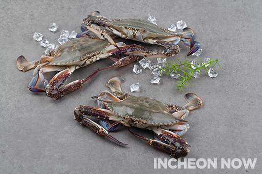 [INCHEON FOOD] Special Recipe-A Cooking Battle Using Specialties of Incheon