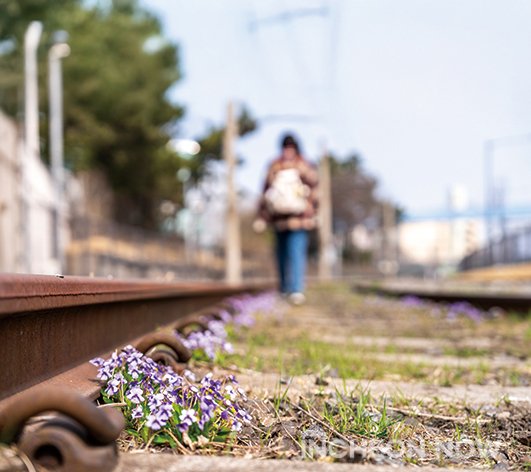 [JOIN TRAVEL] WALKS WITH THE FLAVOR OF INCHEON
