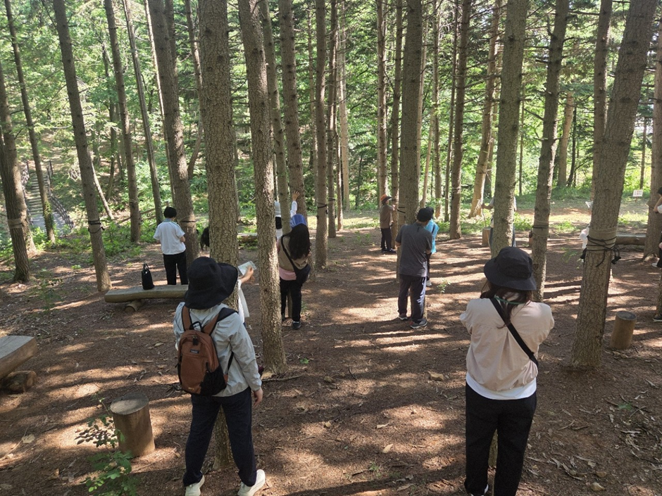 仁川大公園、「仁川癒しの森」の山林治癒プログラムを拡大運営