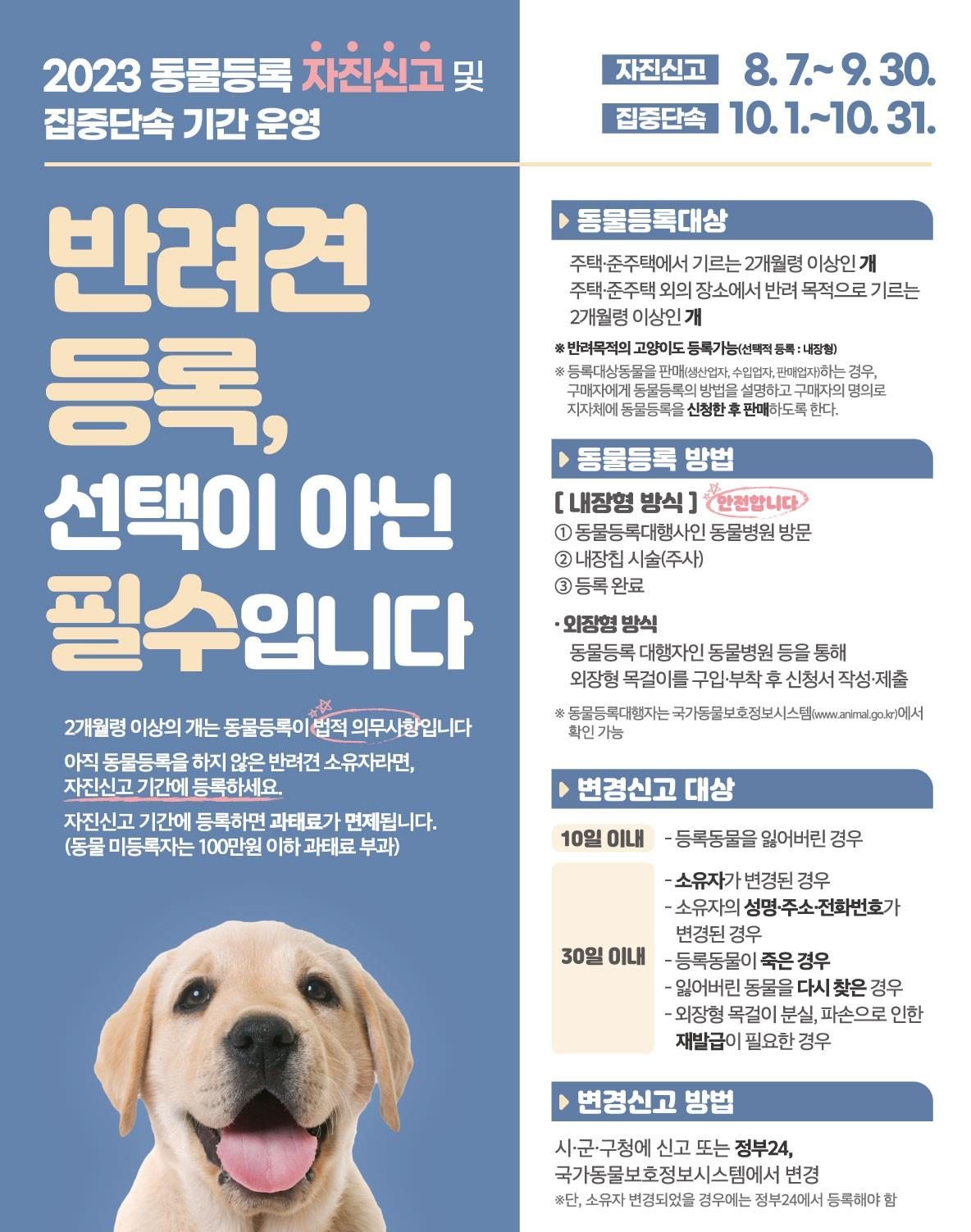 반려견 등록 선택이 아닌 필수입니다