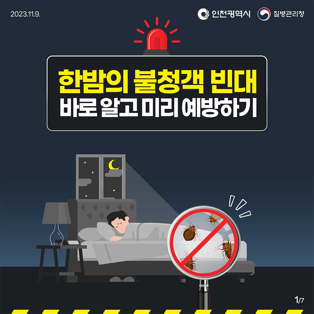 한밤의 불청객 빈대 바로 알고 미리 예방하기