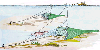 안강망어업(鮟鱇網漁業): 자루 또는 주머니 모양 그물 이미지