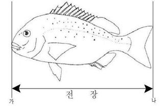 어류 전장 이미지