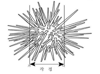 성게 각장 이미지