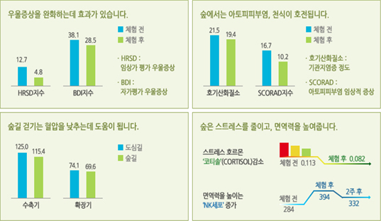 산림치유효과 - 1.우울증상을 완화하는데 효과가 있습니다. 2. 숲에서는 아토피피부염, 천식이 호전됩니다. 3. 숲길 걷기는 혈압을 낮추는데 도움이 됩니다. 4. 숲은 스트레스를 줄이고, 면역력을 높여줍니다.