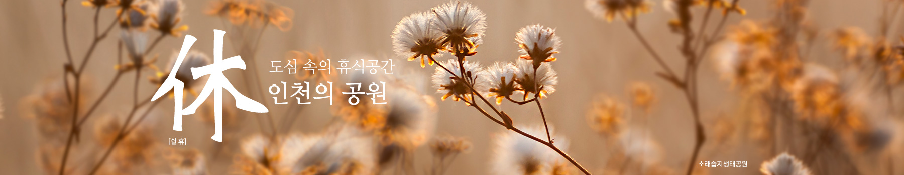 휴(休), 도심속의 휴식공간 인천의 공원. 배경이미지:소래습지생태공원