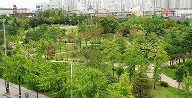 중앙공원