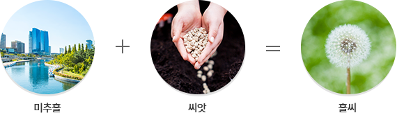 미추홀 + 씨앗 + 홀씨