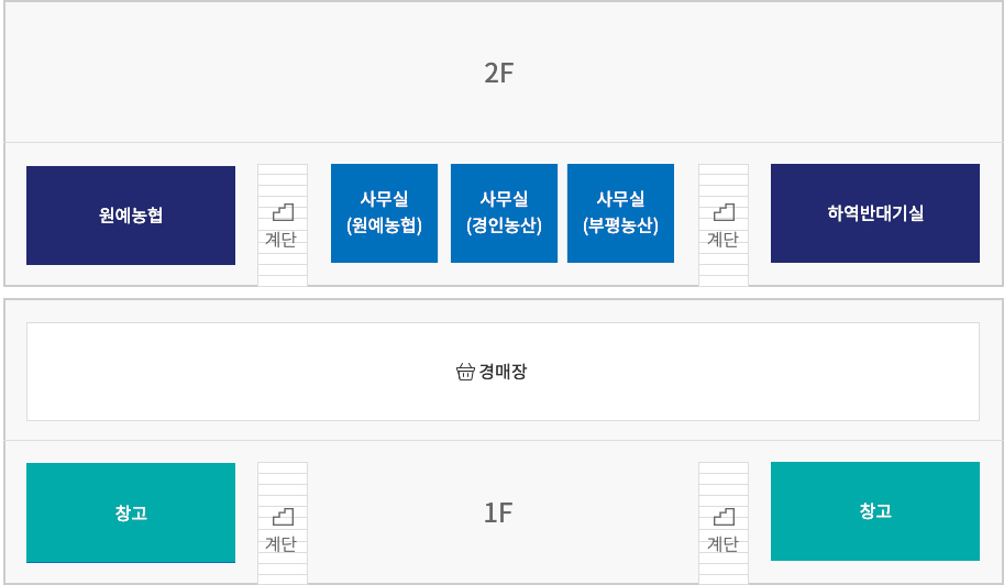 무배추동